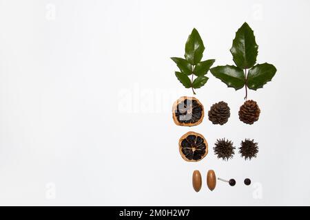 Autunno inverno layout naturale su sfondo bianco. Giacitura piatta. Foto Stock