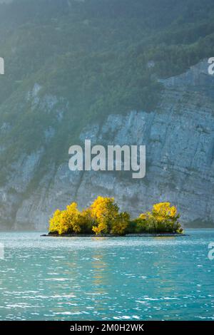 Piccola isola di erba cipollina nelle acque turchesi del lago Walen, Canton St. Gallen, Svizzera, Europa Foto Stock