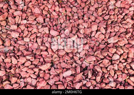 Pietre rosse ghiaia texture macro sfondo, arredamento Foto Stock