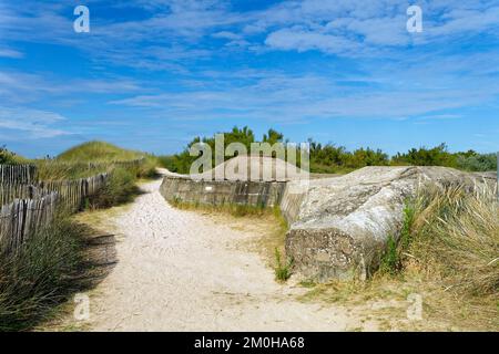 Francia, Calvados, Cote de Nacre (perla costa), Courseulles sur Mer, la spiaggia Foto Stock