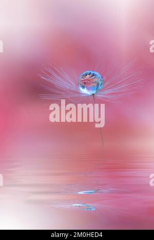 Bella natura background.Floral Art Design.Abstract Macro Photography.Pastel Flower.Dandelion Flowers.Pink background.Creative Wallpaper artistico. Foto Stock