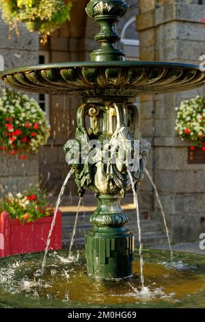 Francia, Orne, villaggio di Domfront, fontana di fronte al municipio Foto Stock