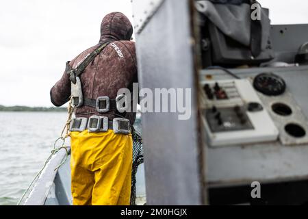 Francia, Morbihan, Sarzeau, i pescatori del cantiere Equinoxe durante la pesca delle vongole nel Golfo di Morbihan Foto Stock