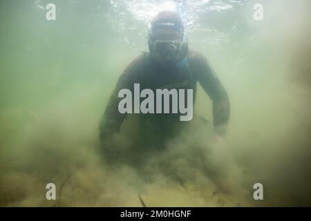 Francia, Morbihan, Sarzeau, i pescatori del cantiere Equinoxe durante la pesca delle vongole nel Golfo di Morbihan Foto Stock