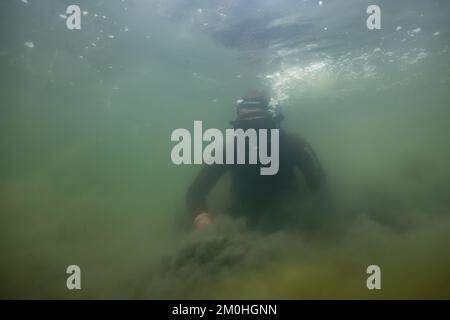 Francia, Morbihan, Sarzeau, i pescatori del cantiere Equinoxe durante la pesca delle vongole nel Golfo di Morbihan Foto Stock