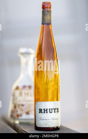 Francia, Morbihan, Sarzeau, vecchia bottiglia di vino che ricorda il passato viticolo della penisola di Rhuys Foto Stock
