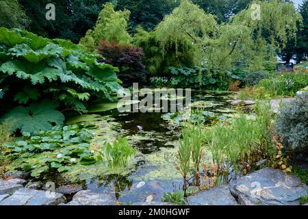 Laghetto dei giardini di Threave Gardens vicino a Castle Douglas, Dumfries e Galloway, Scozia. Foto Stock