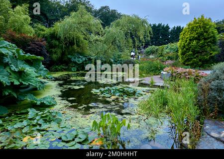 Laghetto dei giardini di Threave Gardens vicino a Castle Douglas, Dumfries e Galloway, Scozia. Foto Stock