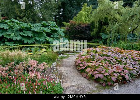 Laghetto dei giardini di Threave Gardens vicino a Castle Douglas, Dumfries e Galloway, Scozia. Foto Stock