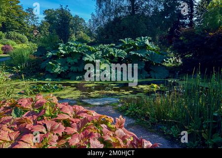 Laghetto dei giardini di Threave Gardens vicino a Castle Douglas, Dumfries e Galloway, Scozia. Foto Stock