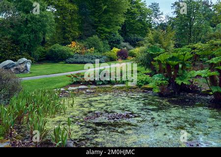 Laghetto dei giardini di Threave Gardens vicino a Castle Douglas, Dumfries e Galloway, Scozia. Foto Stock