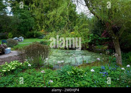 Laghetto dei giardini di Threave Gardens vicino a Castle Douglas, Dumfries e Galloway, Scozia. Foto Stock