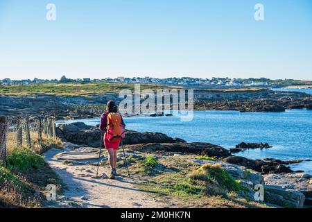 Francia, Morbihan, Ploemeur, le Couregant, escursione sul sentiero costiero o GR 34 percorso a lunga distanza Foto Stock