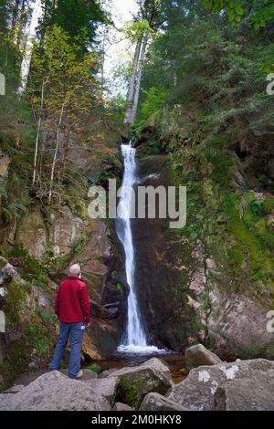 Francia, Vosgi, le Valtin, escursione nella valle Valtin nella valle del Meurthe superiore, cascata Rudlin Foto Stock