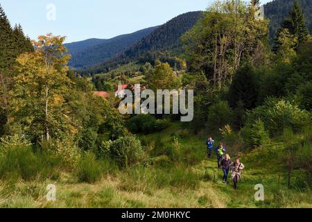 Francia, Vosgi, le Valtin, escursione nella valle Valtin nella valle alta Meurthe sul sentiero panoramico Valtin Foto Stock