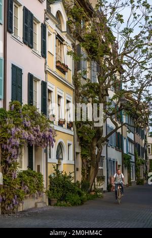 Svizzera, Cantone Basilea-Città, Basilea, sulle banchine del distretto di Little Basel, sulla riva destra del fiume Reno Foto Stock