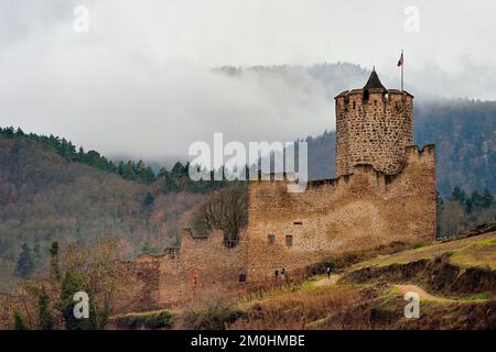 Francia, Alto Reno, Strasburgo, Kaysersberg, il castello in inverno Foto Stock