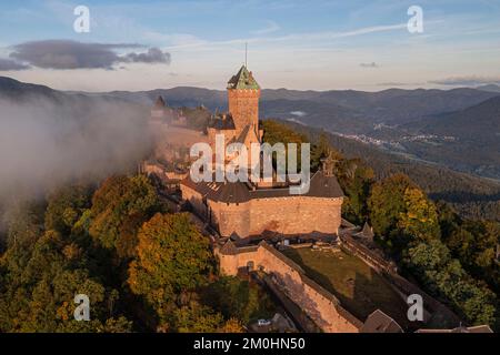 Francia, Bas Rhin, Orschwiller, Alsace strada del vino, il castello di Haut Koenigsbourg situato ai piedi dei Vosgi e che domina la pianura dell'Alsazia a est così come il Vill? E valli Bruche a ovest sullo sfondo (vista aerea) Foto Stock