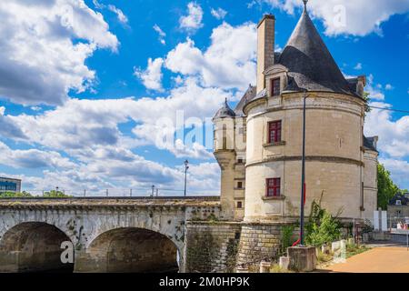 Francia, Vienne, Chatellerault, tappa sulla Via Turonensis o Tours Way, una delle vie principali per Santiago de Compostela, ponte Henri-IV sul fiume Vienne, completato nel 1609 Foto Stock