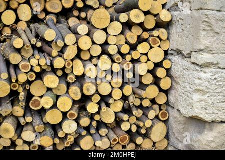 Il legno segato viene impilato in pile di legno. Muro di vecchi tronchi di legno con estremità incrinate. Bel modello di anelli annuali sul taglio di albero. Sfondo. Seleziona Foto Stock