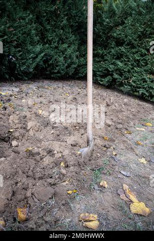 Operazioni di scavo in un orto per preparare il terreno alla semina primaverile. Foto Stock