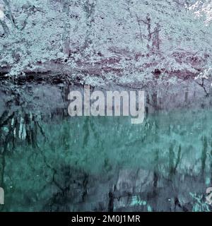 Astratto Impressionismo della fotografia a infrarossi a colori silenziati di una piscina di boschi con riflessi, piante selvatiche e alberi, il tutto ripreso in campagna Foto Stock