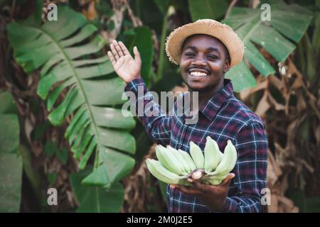 Sorridente agricoltore africano che tiene banane taglio da azienda biologica per export. Agricoltura o concetto di coltivazione Foto Stock