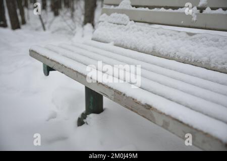 Primo piano di bianche panchine in legno innevate in un parco. Foto Stock