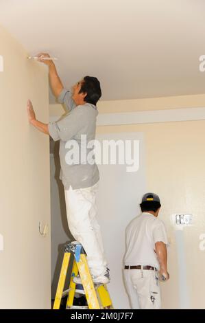 Pittori della casa al lavoro Foto Stock