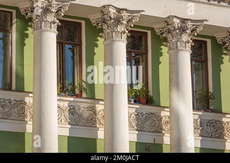 I pomodori crescono in contenitori di plastica in finestre tra massicce colonne di un edificio storico. Foto Stock