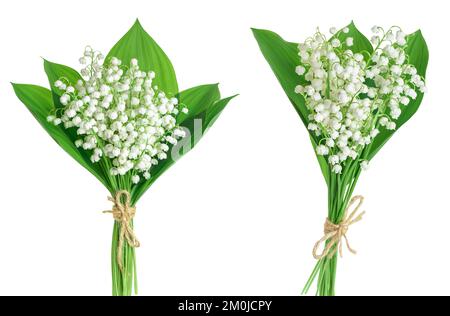 Lilly della valle fiori isolati su sfondo bianco con piena profondità di campo Foto Stock