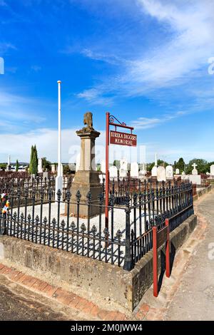 Ballarat Australia / l'Eureka Diggers Memorial dedicato agli scavatori d'oro uccisi durante la battaglia di Eureka Stockade del 1854 a Ballarat Victoria Australia. Foto Stock