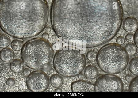 Bolle d'olio che assomiglia alle cellule nel corpo Foto Stock