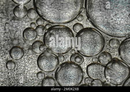 Bolle d'olio che assomiglia alle cellule nel corpo Foto Stock