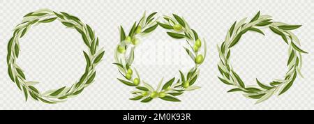 Corone di rami di olivo con frutti verdi e foglie isolate su fondo trasparente. Cerchiate i bordi dei rametti di alberi con olive fresche, illustrazione realistica vettoriale Illustrazione Vettoriale