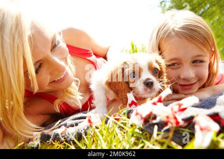 Mostrando il cucciolo intorno. una felice madre, figlia e cucciolo sdraiati su una coperta in un parco. Foto Stock