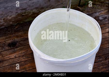 un secchio di plastica bianca è riempito di acqua dalla pompa Foto Stock