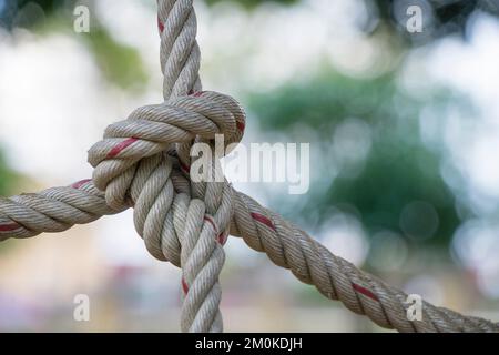 Arrampicata di una rete primo piano salita netto ROP selezionare fuoco verde sfondo natura. Foto Stock