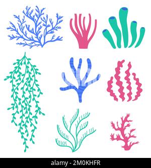 Coralli e alghe marine. Piante colorate sottomarine. Flora e fauna selvatiche sottomarine ed elementi dell'acquario. Alghe naturali Illustrazione Vettoriale