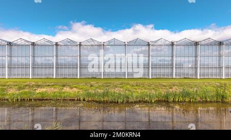 Esterni industriali a effetto serra nei Paesi Bassi. Industria alimentare con edifici giganti. Foto Stock