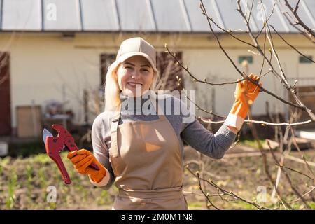 Potatura alberi in autunno giardino. Primo piano delle mani con guanti gialli e cesoie per potatura che tagliano i rami vecchi. Foto Stock