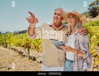 Due agricoltori anziani in piedi e puntano mentre parlano e usano il tablet digitale sul vigneto. L'uomo anziano mostra la donna mentre si lega insieme al vino Foto Stock