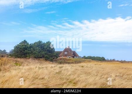 Tipica casa con tetto a canna a Wenningstedt, sull'isola di Sylt, Germania Foto Stock
