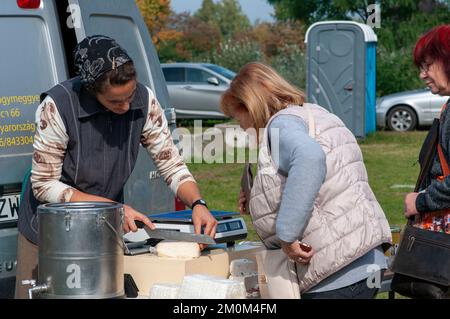 Mercato delle pulci all'aperto, Siofok, contea di Somogy, riva sud del lago Balaton, Ungheria Foto Stock