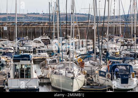 Porto di Torquay occupato con molti yacht ormeggiati e varie barche a vela, Devon, Regno Unito. Foto Stock