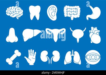 Set di simboli degli organi umani. Cervello, dente, orecchio, intestino, stomaco, naso, fegato, sistema riproduttivo, cuore, osso, icona mano, reni, polmoni, bulbo oculare. Illustrazione Vettoriale