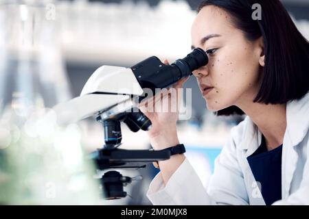 Microscopio, scienziato o donna con ricerca, cura medica o controllare i dati dei campioni in laboratorio. Donna asiatica, ricercatore o dipendente che analizza i risultati Foto Stock
