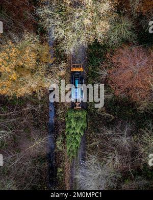 BANT - Olanda, 07/12/2022, Drone foto di un albero di Natale tagliato nel Kuinderbos. L'albero sarà collocato nella sala della Camera dei rappresentanti. ANP REMKO DE WAAL olanda fuori - belgio fuori Foto Stock