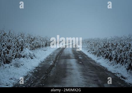 Strada innevata su Cornfield in inverno. Vista sulla campagna agricola. Fotografia cinematografica Foto Stock