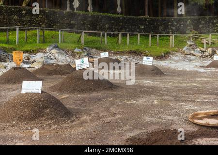 FURNAS, AZZORRE, PORTOGALLO - DICEMBRE 2022: Cozido das Furnas, cibo cucinato alle aperture vulcaniche vicino Furnas sull'isola di Sao Miguel, Azzorre, Portogallo Foto Stock